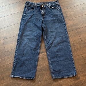 American Eagle Women’s Stovepipe Blue Jeans, 12 Regular